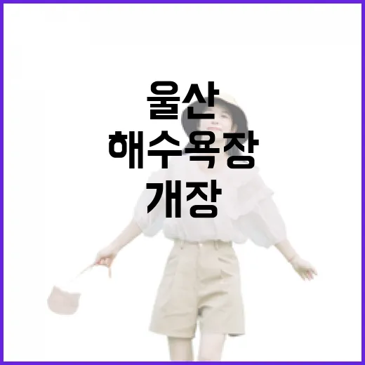 울산 대표 해수욕장 2026 개장 일정과 명소