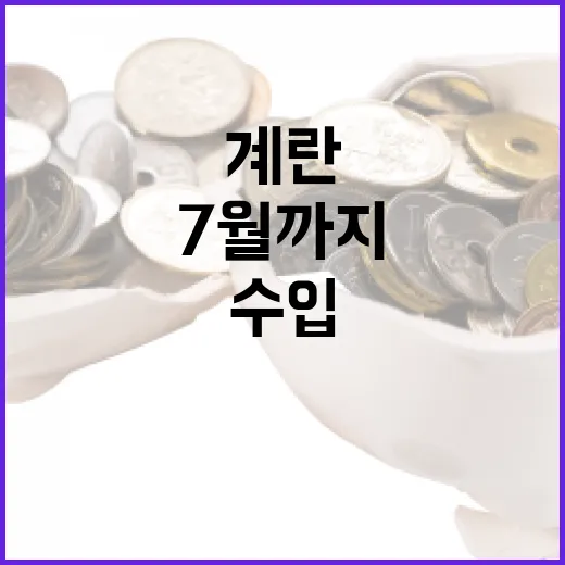 계란값 잡기 총력…7월까지 신선란 2112만 개 수입 확대