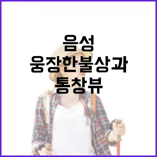 음성 미타사, 웅장한 불상과 탁 트인 통창 뷰