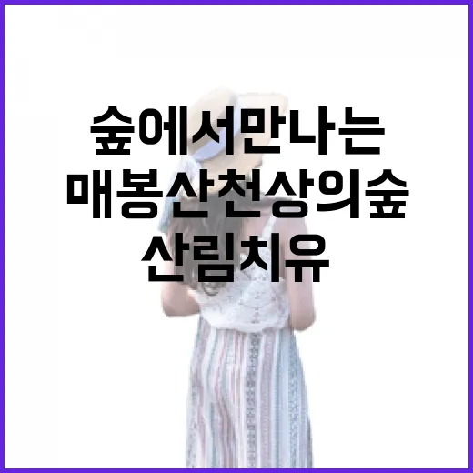매봉산 천상의 숲에서 만나는 힐링 산림치유