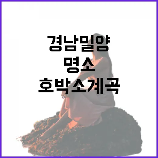 경남 밀양 호박소 계곡, 여름 힐링 명소