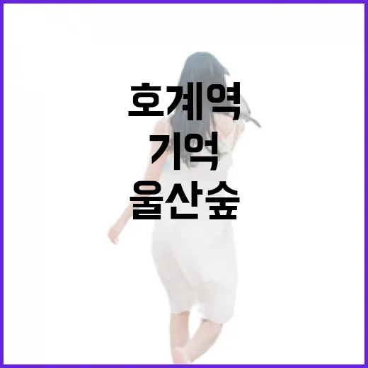 호계역 기억 품은 울산숲 산책길