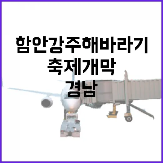경남 함안 강주 해바라기 축제 개막