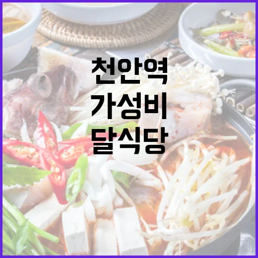 천안역 달식당, 가성비와 맛 모두 잡은 로컬 명소