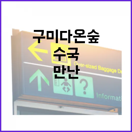 구미 다온 숲에서 만난 초여름 수국의 향연