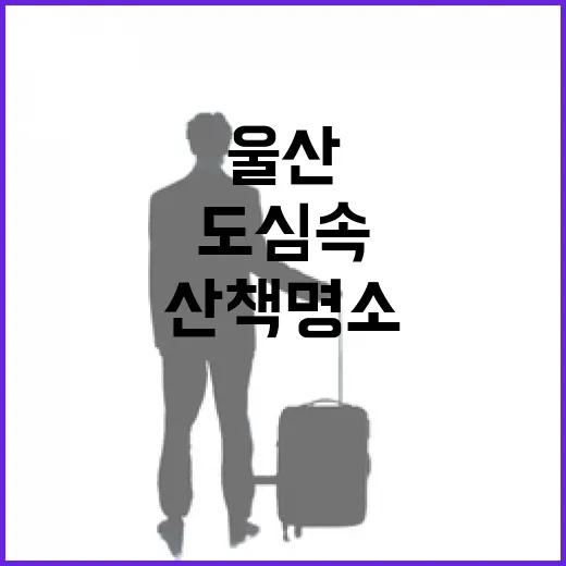 울산 연암정원, 도심 속 여름 산책 명소