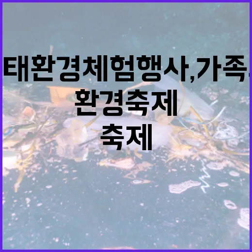 청라 생태환경 체험행사, 가족과 함께한 환경 축제