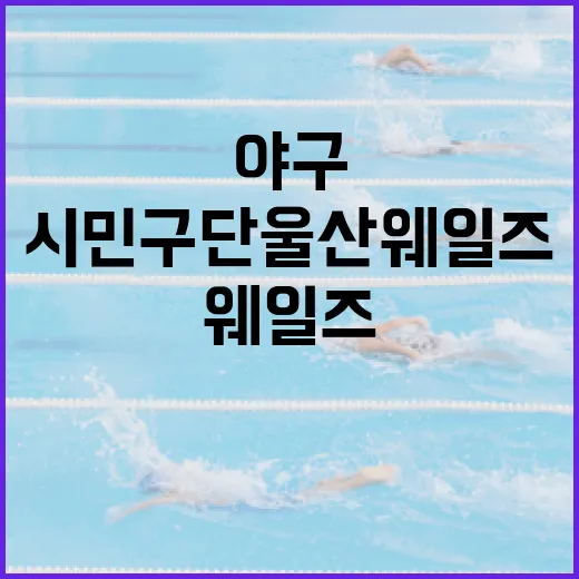 울산야구 새역사, 시민구단 울산웨일즈의 도전