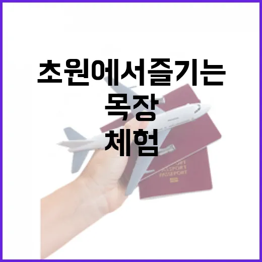 예산 아그로랜드 태신목장, 초원에서 즐기는 가족 체험 여행
