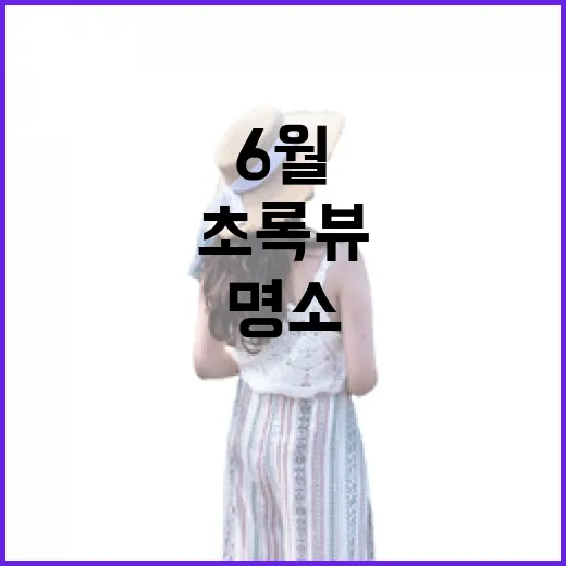 6월 강원도 초록뷰 카페 힐링 명소