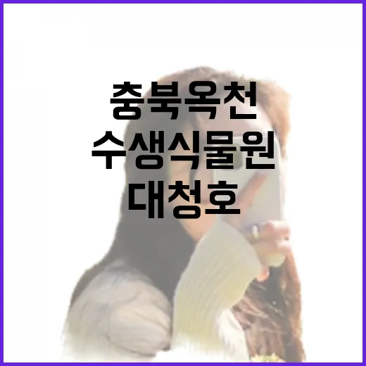충북 옥천 천상의 정원, 대청호 수생식물원 산책