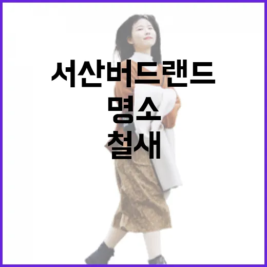 서산버드랜드 가족과 함께하는 철새 체험 명소