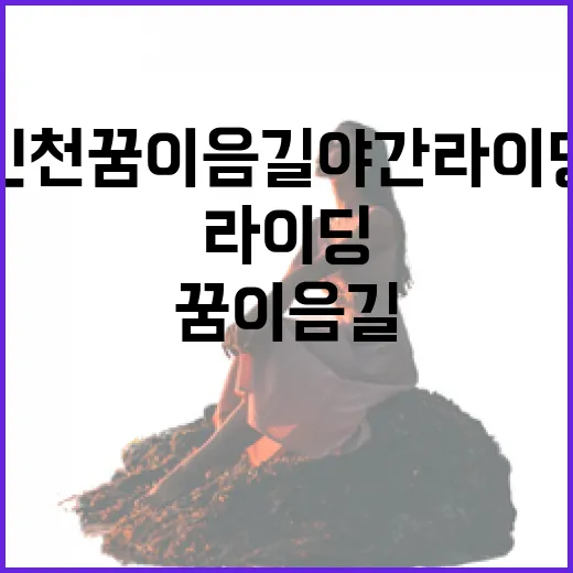 인천 꿈이음길 야간 라이딩 명소 탄생