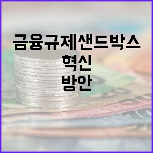 금융규제 샌드박스 혁신 가속화 방안 발표