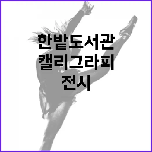 한밭도서관서 만나는 감성 캘리그라피 전시