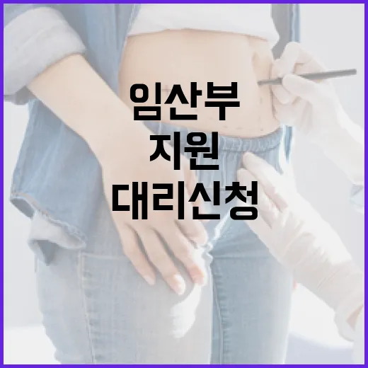 임산부 지원, 가족 대리 신청으로 더 편리해진다