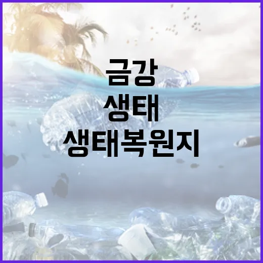 금강 수질 지키는 비밀의 연못 생태복원지