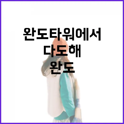 완도타워에서 만나는 다도해 절경