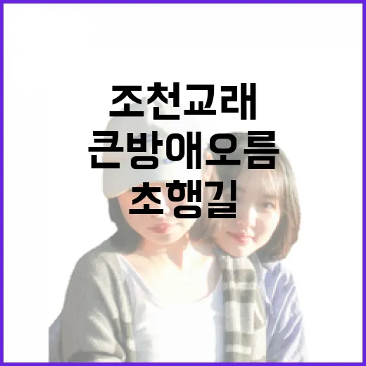 조천 교래 큰방애오름 초행길 완벽 가이드