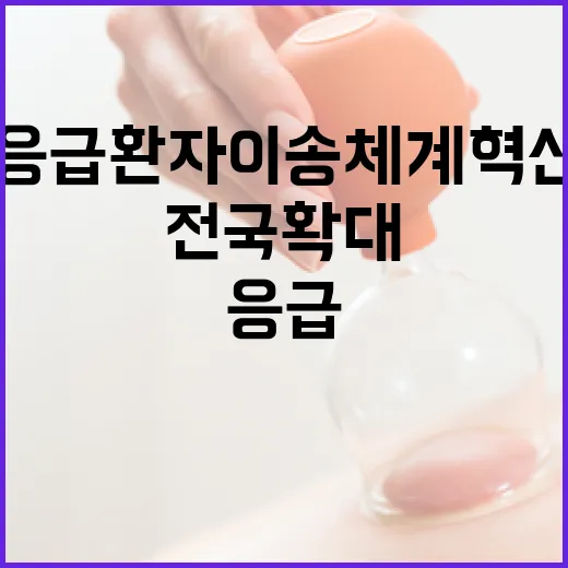 응급환자 이송체계 혁신, 전국 확대 예고