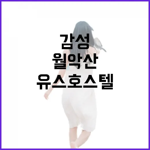 월악산 품은 제천 감성 유스호스텔