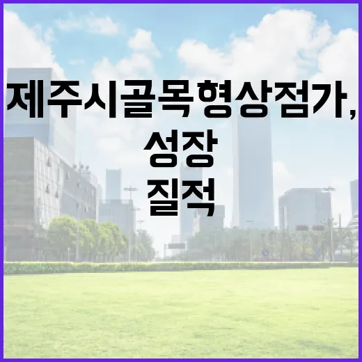 제주시 골목형상점가, 질적 성장으로 전환