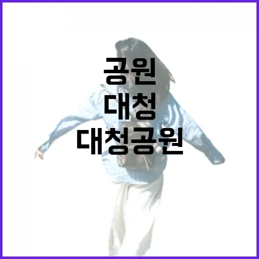 모두가 즐기는 대청공원 무장애 수국길