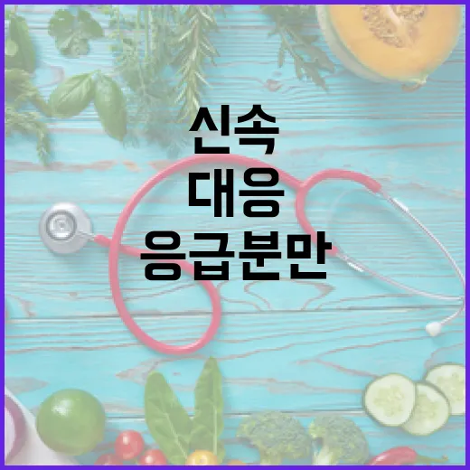 응급 분만 이송, 정부의 신속 대응 현황