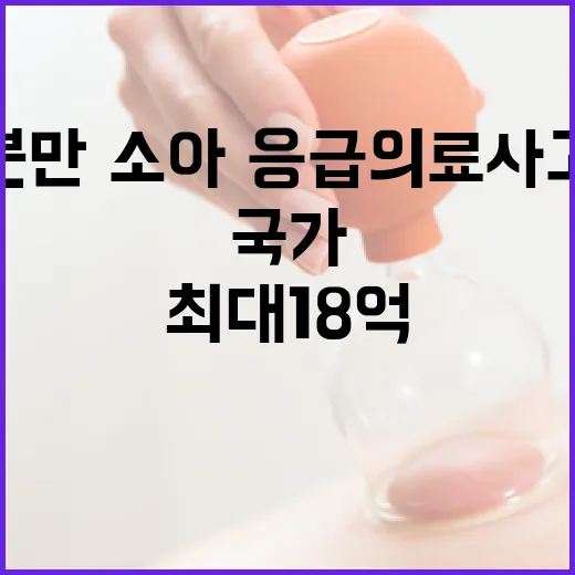 국가, 분만·소아·응급 의료사고 최대 18억 배상 지원