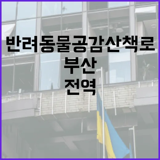 부산 전역 반려동물 공감산책로 5곳 완성