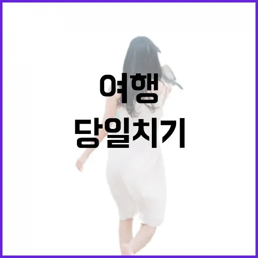고창 당일치기 여행의 진면목