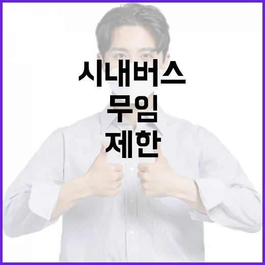 시내버스 무임 이용, 10만원 제한 적정성 확인