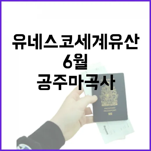 유네스코 세계유산 공주 마곡사 6월 풍경