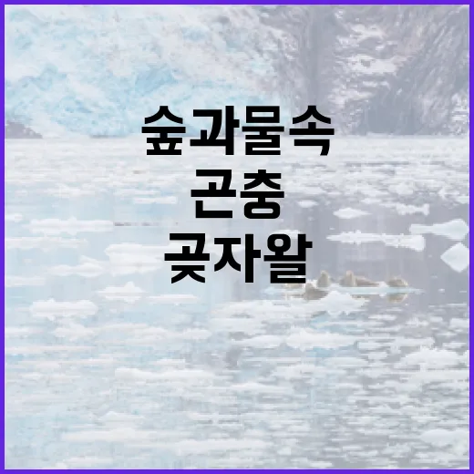 곶자왈 숲과 물속 곤충 탐사 현장