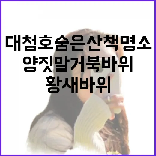대청호 숨은 산책 명소 양짓말 거북바위와 황새바위