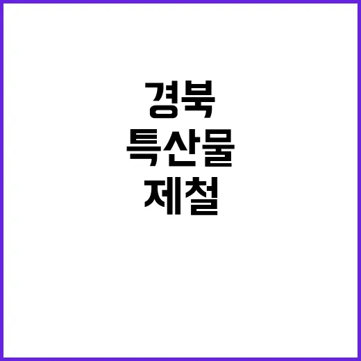 경북 여름 특산물, 지금이 제철
