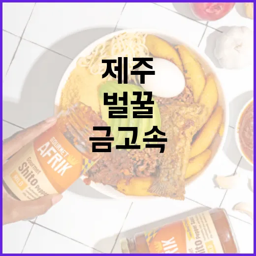 금고 속 제주 1+ 벌꿀의 비밀