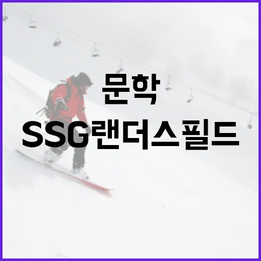 인천 문학 SSG 랜더스필드 SKY석 생생 후기