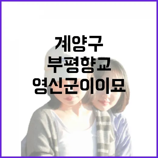 계양구 역사 속으로, 부평향교와 영신군이이묘