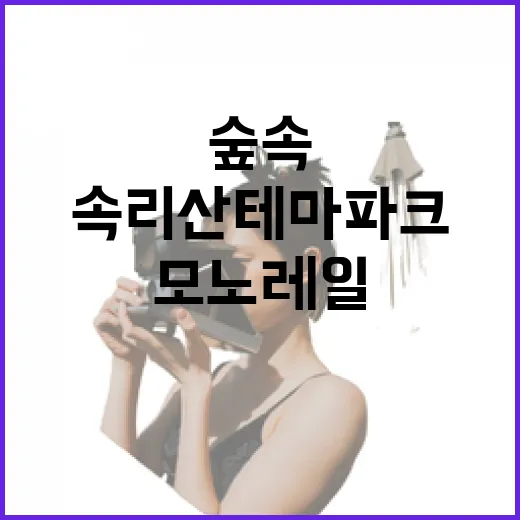 보은 속리산 테마파크 숲속 모노레일 여행