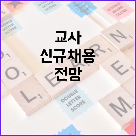 내년 교사 신규채용, 초등 2700~2900명·중등 4700~5100명 전망