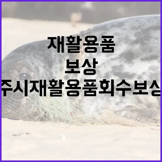 제주시 재활용품 회수보상제, 보상과 함께 자원순환 실천