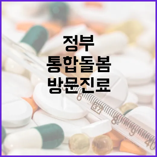 통합돌봄 방문진료, 현실과 정부 대책