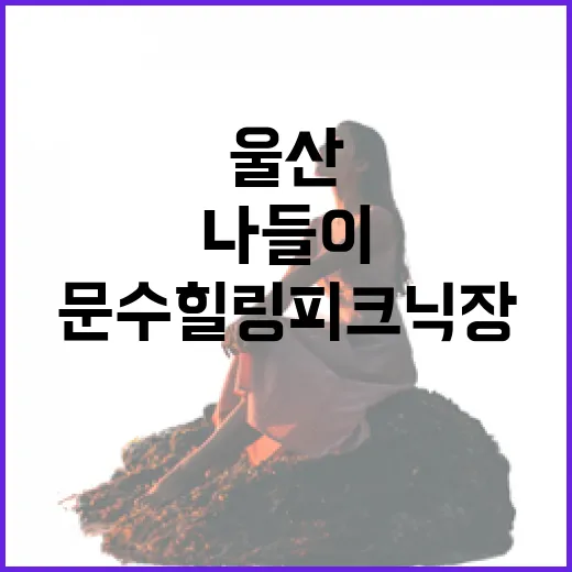 울산 문수 힐링 피크닉장 자연 속 가족 나들이 명소