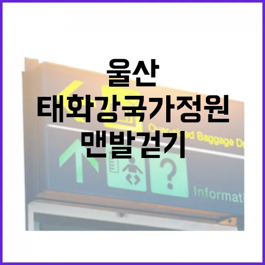 울산 태화강 국가정원 맨발 걷기 명소