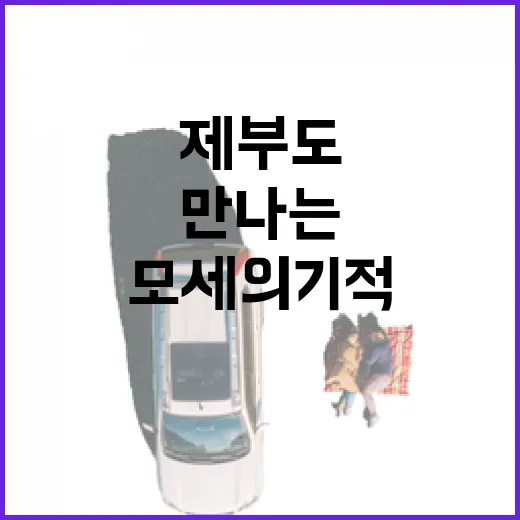 하늘에서 만나는 제부도 모세의 기적