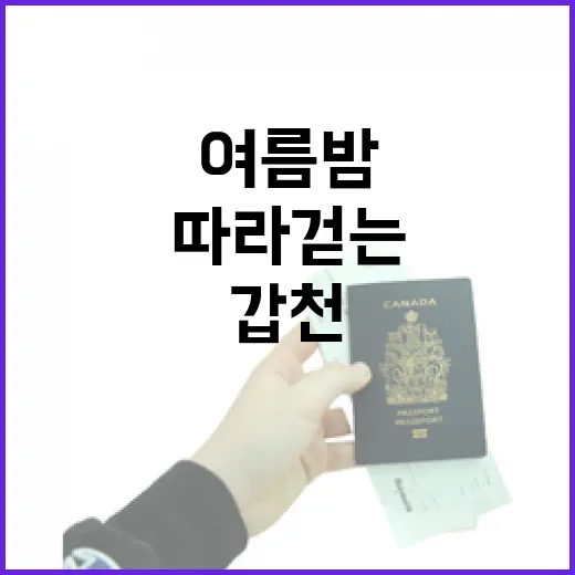 여름밤 갑천 따라 걷는 야경 명소