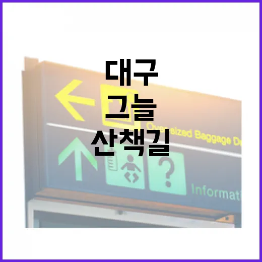 대구 도심 그늘 산책길의 매력