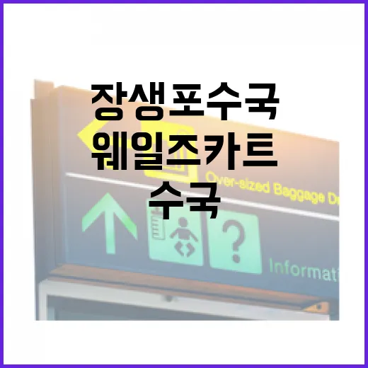 장생포 수국과 웨일즈카트의 매력