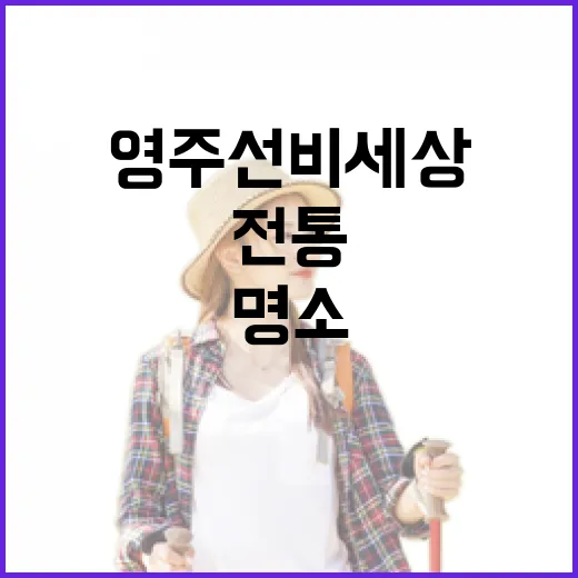 영주 선비세상, 초록과 전통의 힐링 명소